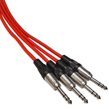 Load image into Gallery viewer, SAJLP-12x4x100 - 12 Channel, 100 Foot XLR Low Profile Snake Cable with TRS Returns