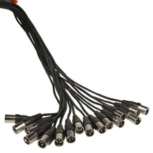 Load image into Gallery viewer, SAJLP-16x4x100 - 16 Channel 100 Foot XLR Low Profile Snake Cable with 4 TRS Returns