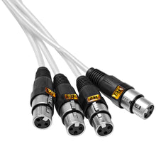 Load image into Gallery viewer, SAMP-12x4x100 - 12 Channel, 100 Foot XLR Snake Cable with Easy Disconnect Trunk
