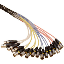 Load image into Gallery viewer, SAMP-12x4x50 - 12 Channel, 50 Foot XLR Snake Cable with Easy Disconnect Trunk
