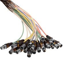 Load image into Gallery viewer, SAMP-16x8x100 - 16 Channel, 100 Foot XLR Snake Cable with Easy Disconnect Trunk