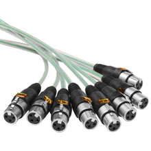 Load image into Gallery viewer, SAMP-16x8x50 - 16 Channel, 50 Foot XLR Snake Cable with Easy Disconnect Trunk