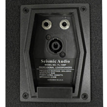 Load image into Gallery viewer, FL-10MP - Pair of Premium 10" PA Floor Monitors with Titanium Horns