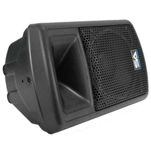 Load image into Gallery viewer, NPS-10 - Pair of 10" PA DJ Molded Speakers
