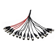 Load image into Gallery viewer, SACB-12x4x25 - 12 Channel XLR Low Profile Snake Cable - 25 Feet
