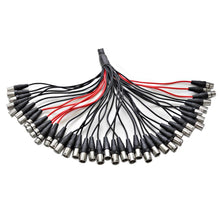 Load image into Gallery viewer, SACB-32x8x100 - 32 Channel XLR Low Profile Snake Cable - 100 Feet