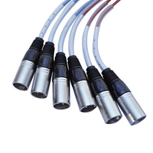 Load image into Gallery viewer, SADMS-6x30 - 6 Channel Compact Sub Snake - 30 Feet