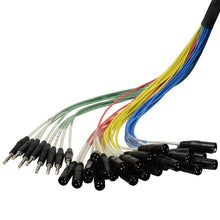 Load image into Gallery viewer, SAJT-24x8x100 - 24 Channel XLR 100' Snake Cable (TRS Returns)