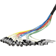 Load image into Gallery viewer, SALS-12x4x100 - 12 Channel 100' Snake Cable (XLR & TRS Returns)