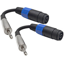 Load image into Gallery viewer, FALSE