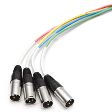 Load image into Gallery viewer, 4 Channel XLR Send Sub Snake - 35'