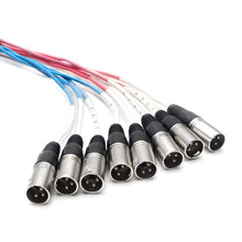 Load image into Gallery viewer, 8 Channel XLR Send Sub Snake - 20'