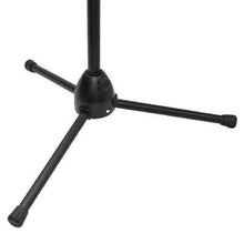 Load image into Gallery viewer, iPad / Microphone Adjustable Stand with Mic and Cable