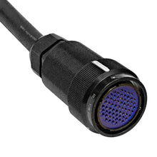 Load image into Gallery viewer, SAMP-12x4x100 - 12 Channel, 100 Foot XLR Snake Cable with Easy Disconnect Trunk
