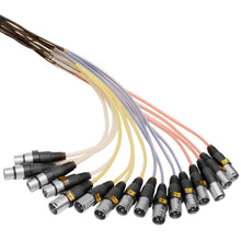 Load image into Gallery viewer, SAMP-12x4x100 - 12 Channel, 100 Foot XLR Snake Cable with Easy Disconnect Trunk

