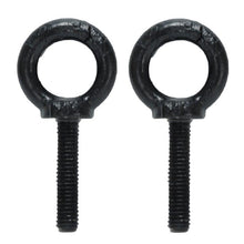Load image into Gallery viewer, Lava 12 Premium Black 12&quot; Loudspeaker or Monitor
