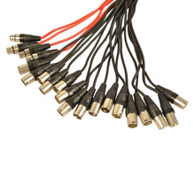 Load image into Gallery viewer, SACB-16x4x25 - 16 Channel XLR Low Profile Snake Cable - 25 Feet
