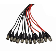 Load image into Gallery viewer, SACB-8x4x50 - 8 Channel XLR Low Profile Snake Cable - 50 Feet
