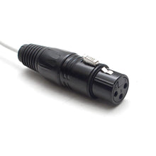 Load image into Gallery viewer, SA-DB8XF5 - DB25 to 8 Channel XLR Female 5 Feet
