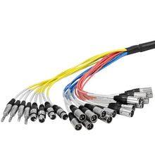 Load image into Gallery viewer, SALS-16x8x100 - 16 Channel 100&#39; Snake Cable (XLR &amp; TRS Returns)
