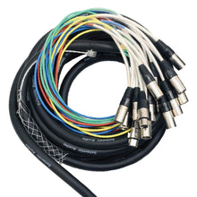 Load image into Gallery viewer, SALS-12x4x25 - 12 Channel 25&#39; Snake Cable (XLR &amp; TRS Returns)
