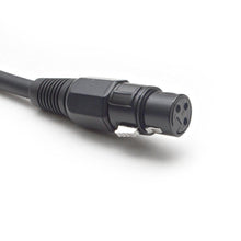 Load image into Gallery viewer, Pair of Heavy Duty XLR Microphone Cables - 100 Feet

