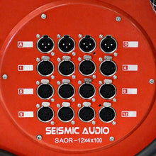 Load image into Gallery viewer, SAOR-12x4x50 - 12 Channel with 4 Returns Snake on a Reel 50&#39;
