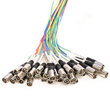 Load image into Gallery viewer, SARMSS-32x1530 - 32 Channel XLR TRS Combo Splitter Snake Cable - 15&#39; and 30&#39; XLR trunk
